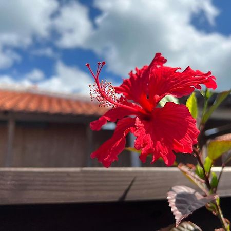 נאגו Villa Muse Okinawa- Vacation Stay 43823V מראה חיצוני תמונה